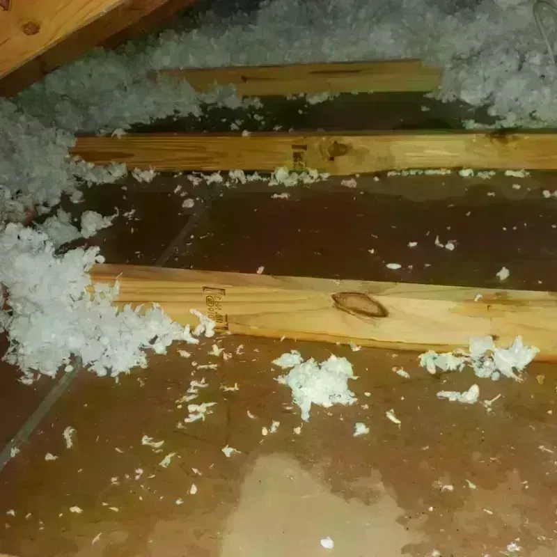 Attic Water Damage in Potomac Mills, VA